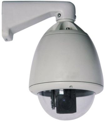 Outdoor PTZ - 30x Day/Night Sony CCD Dome